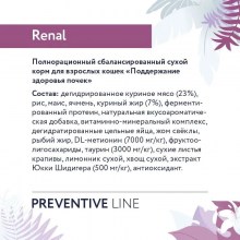 renal 2